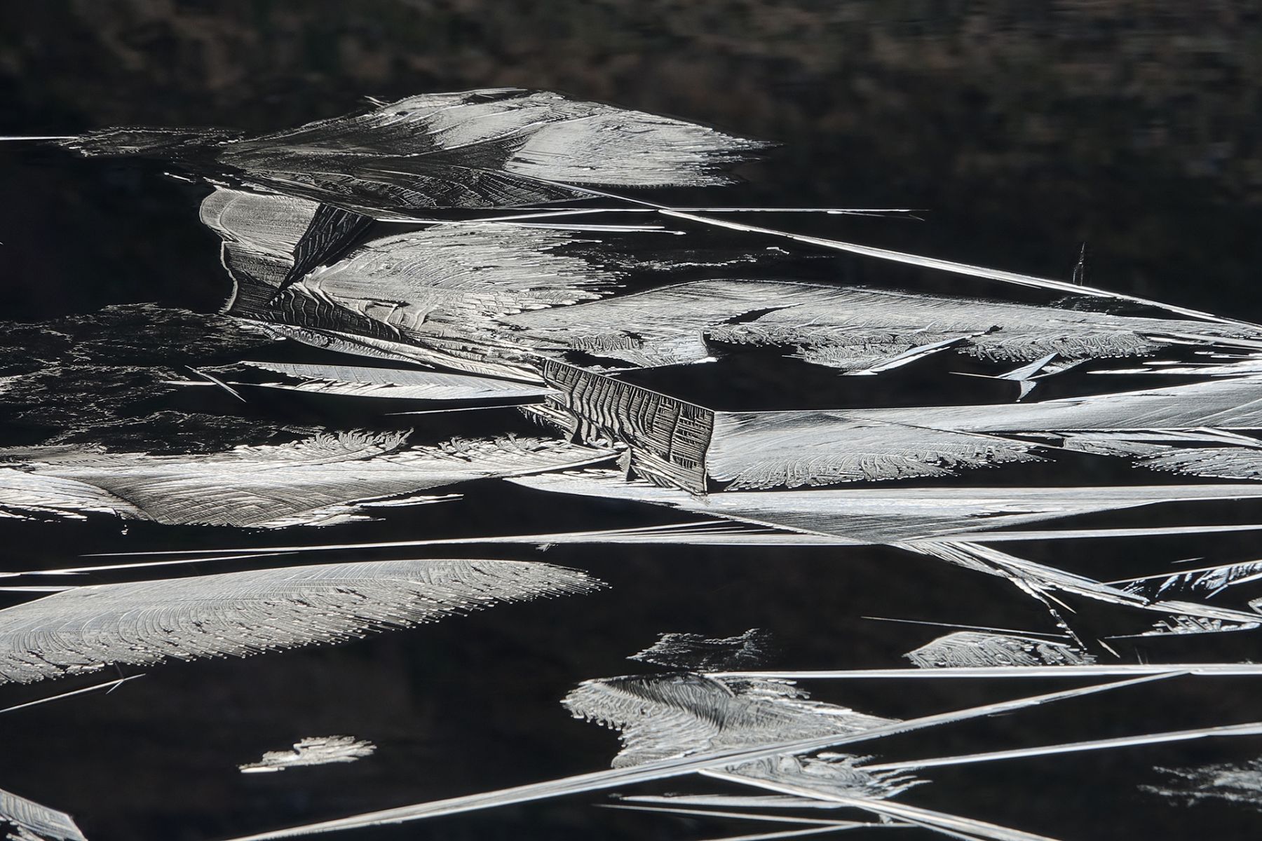 ice forming, loch carrie by nigel mcmillan