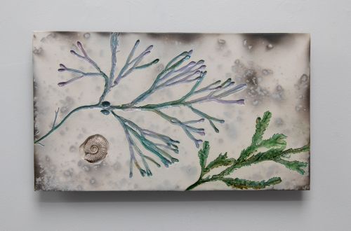 west coast seaweed I by helen michie