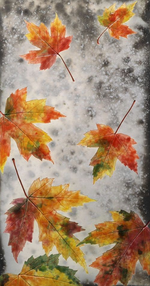autumn acer by helen michie