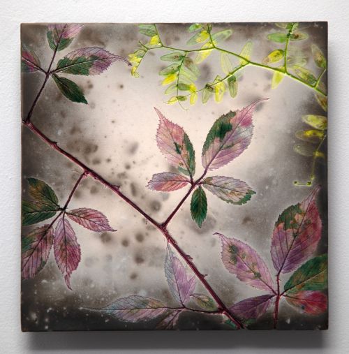 summer bramble II by helen michie