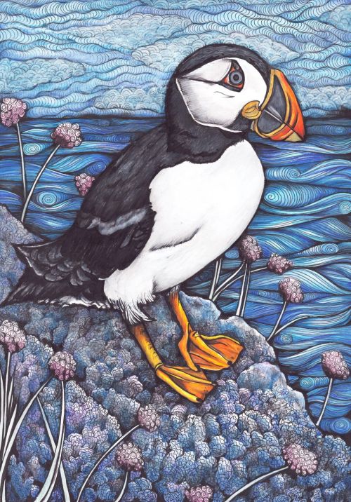 puffin by jennifer guest