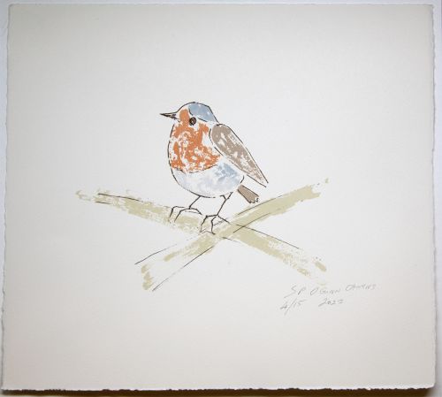 robin screenprint by joyce gunn cairns