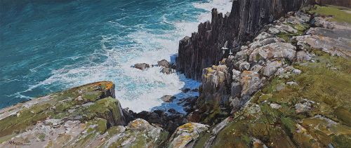 mull fulmars by alan b hayman