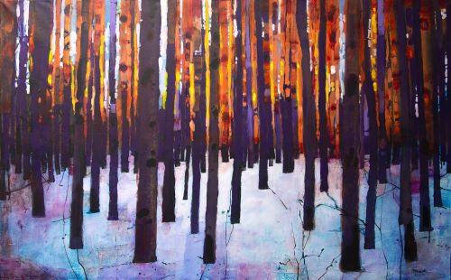 sunset forest by stephen french