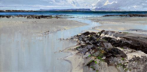 camusdarroch - ringed plovers by alan b hayman