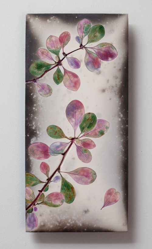 Berberis Heart | Helen Michie