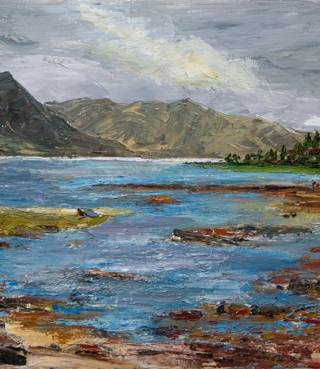 loch sunart from strontian by calum macfarlane barrow