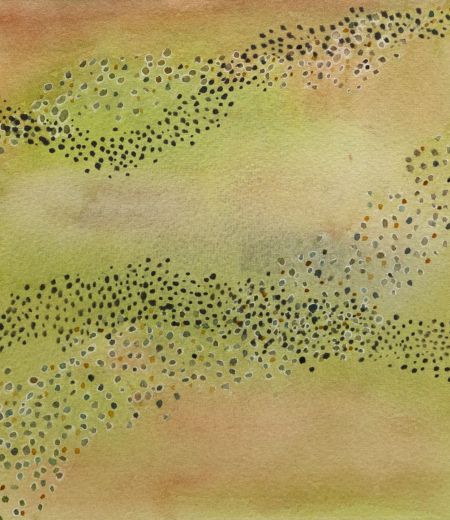 littoral drift by jane rushton
