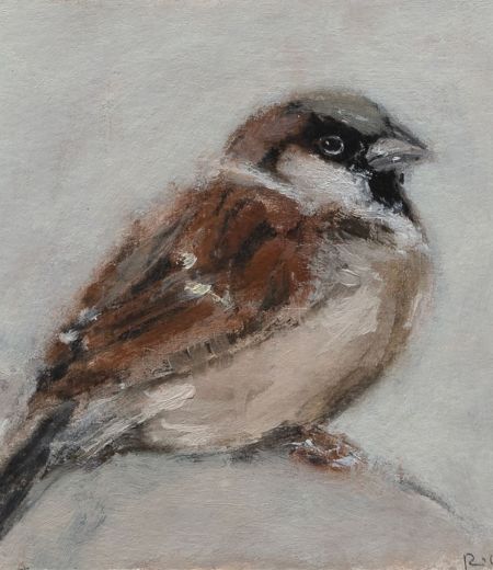 sparrow iii by ruth o'dell