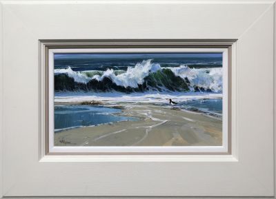 oystercatcher, hebrides