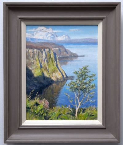 morning light on the cliff, earlish, skye by david deamer