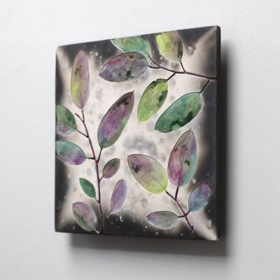 west coast eucalyptus by helen michie