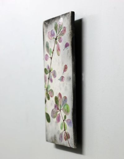 berberis pinks II by helen michie