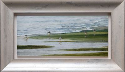 ringed plovers on the beach by colin woolf