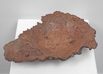 1933, elm burr morvern by John Hodgson