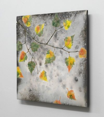 Falling Autumn Birch iii | Helen Michie