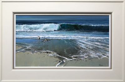 whimbrels by alan b hayman