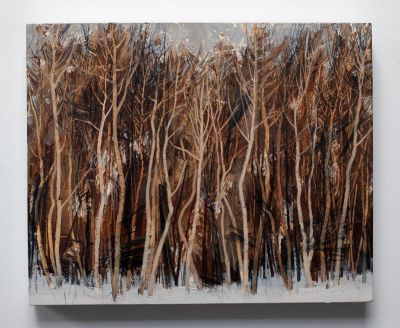 young birches, gordon woodland by anna king