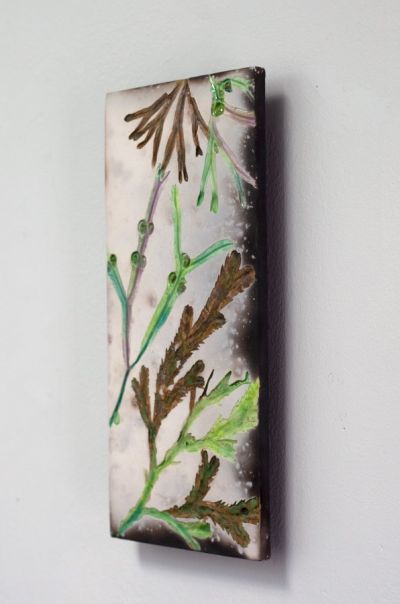 Green Seaweed iii | Helen Michie