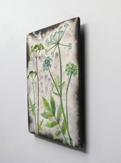 summer cow parsley by helen michie