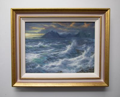 wild day at elgol