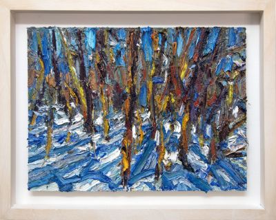 winter shadows february by jonathan shearer