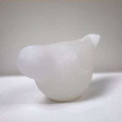 white bird by siobhan morison