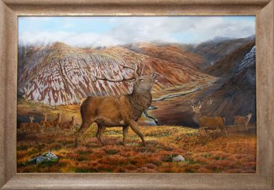 the young pretender by colin woolf