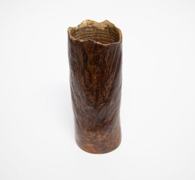 1923 oak burr, morvern by john hodgson