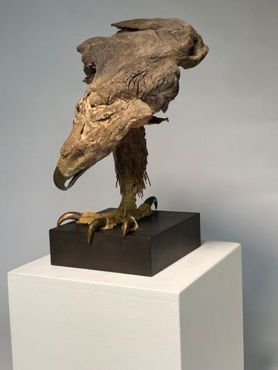 raptor by lucy gray