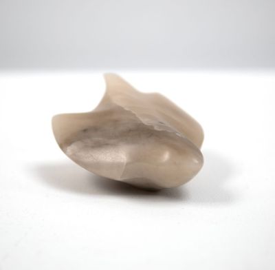 a bird in the hand by siobhan morison