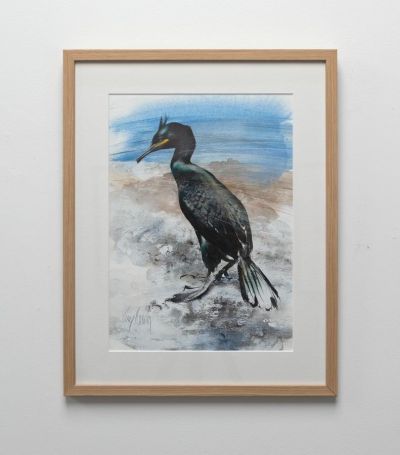 shag by lucy newton