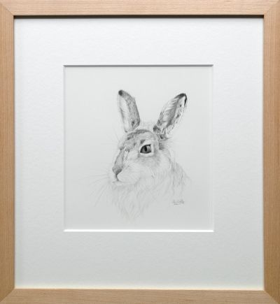 Mountain Hare Study | Colin Woolf