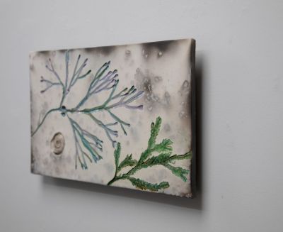 west coast seaweed I by helen michie
