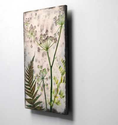 summer fern & cow parsley by helen michie