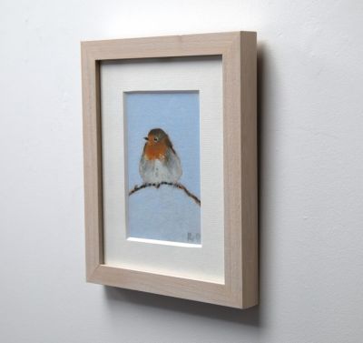robin by ruth o'dell
