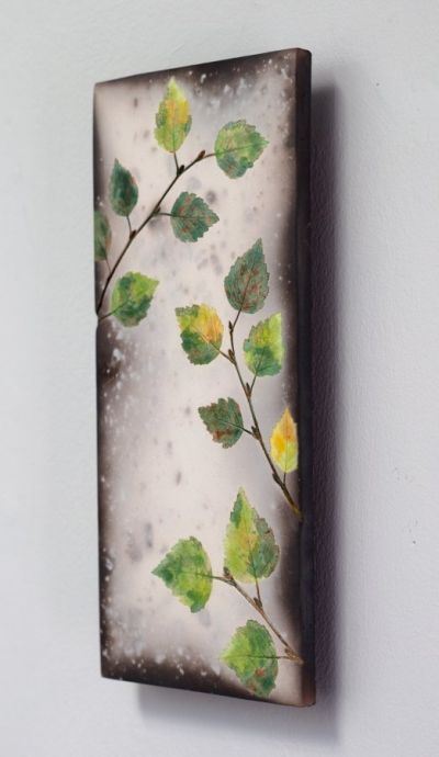 Spring Birch i