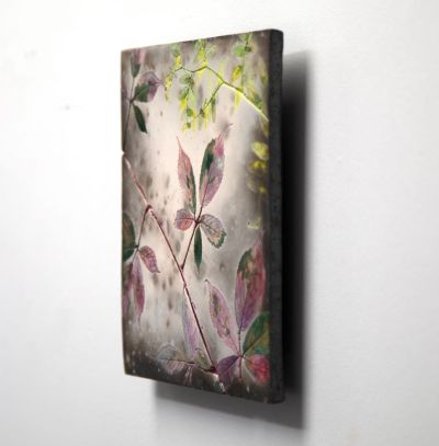 summer bramble II by helen michie