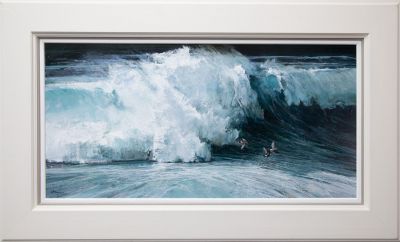 storm petrels by alan b hayman