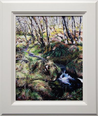 ariundle woods by niall logan