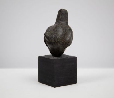 questioning by siobhan morison