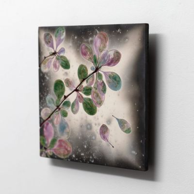 berberis light by helen michie