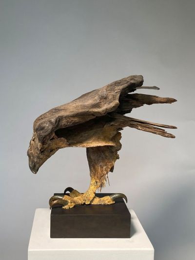raptor by lucy gray