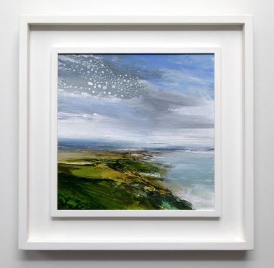 birdseye by debbie loane