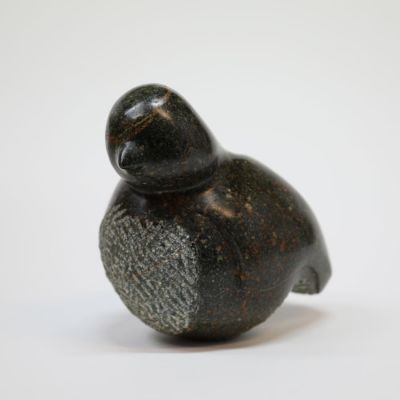 bird I by siobhan morison