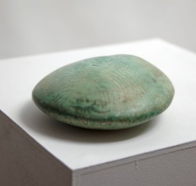 sea urchin by judith davies