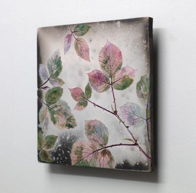 pink bramble II by helen michie