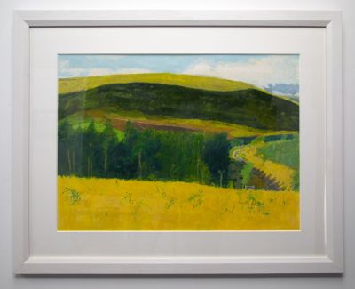 strathdon study by david greenall