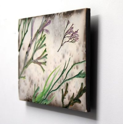 purple and green seaweed by helen michie