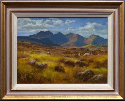 Blue and Gold | David Dipnall